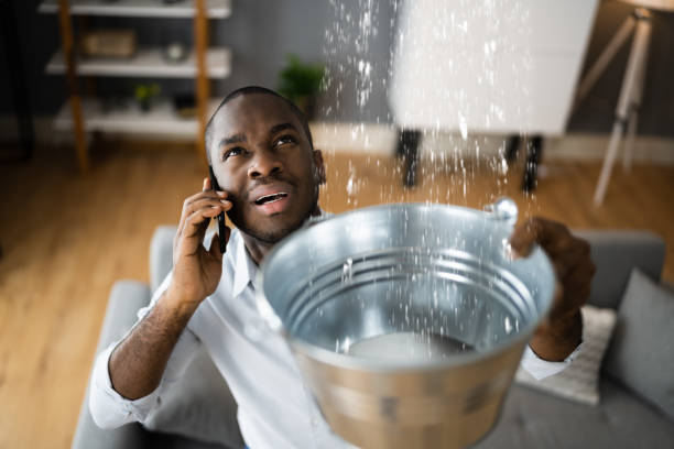 Water damage restoration experts in LA