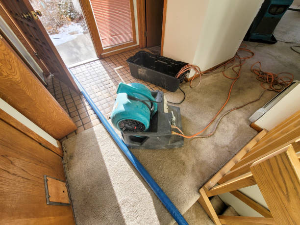 Best Residential water damage restoration  in Oberlin, LA