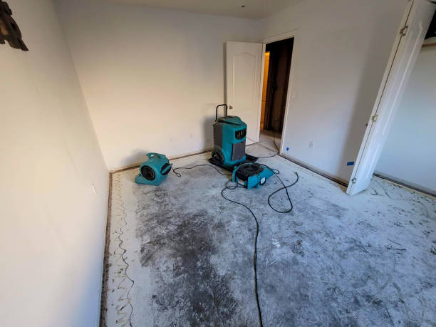 Best Water damage restoration near me  in Oberlin, LA