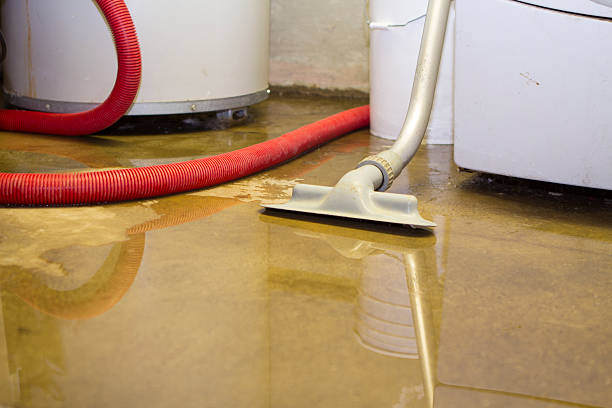 Best Flooded house restoration  in Oberlin, LA
