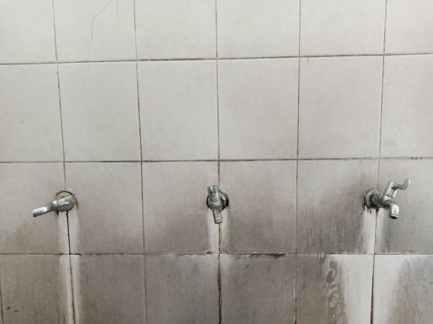 Best Basement water damage restoration  in Oberlin, LA