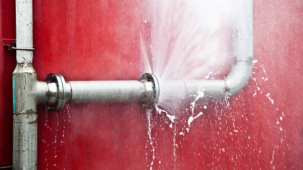 Best Flood damage cleanup  in Oberlin, LA